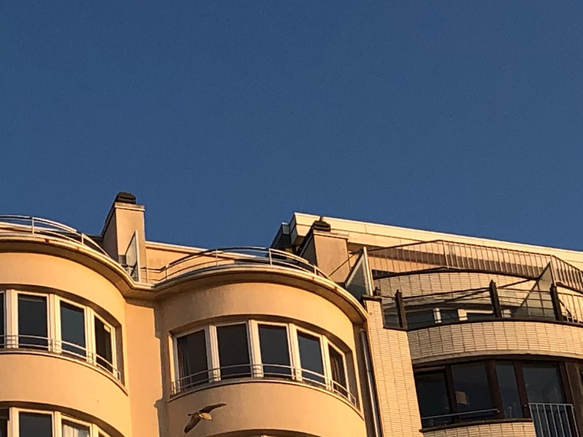 El Mirador Penthouse Paris Daire Oostende Dış mekan fotoğraf